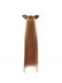 The Rising of the Shield Hero Raphtalia Long Straight Brown Cosplay Wigs With Ears